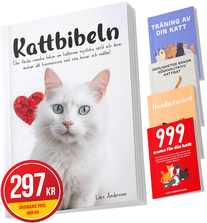 Kattbibeln-.png__PID:53e64d35-bf3a-4e8c-b985-d64148c8fd68